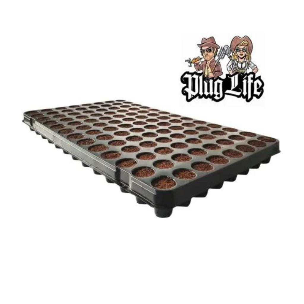 Plug Life Coco Propagation Clone Cuttings 104 Tray | Hytec Hydroponics ...