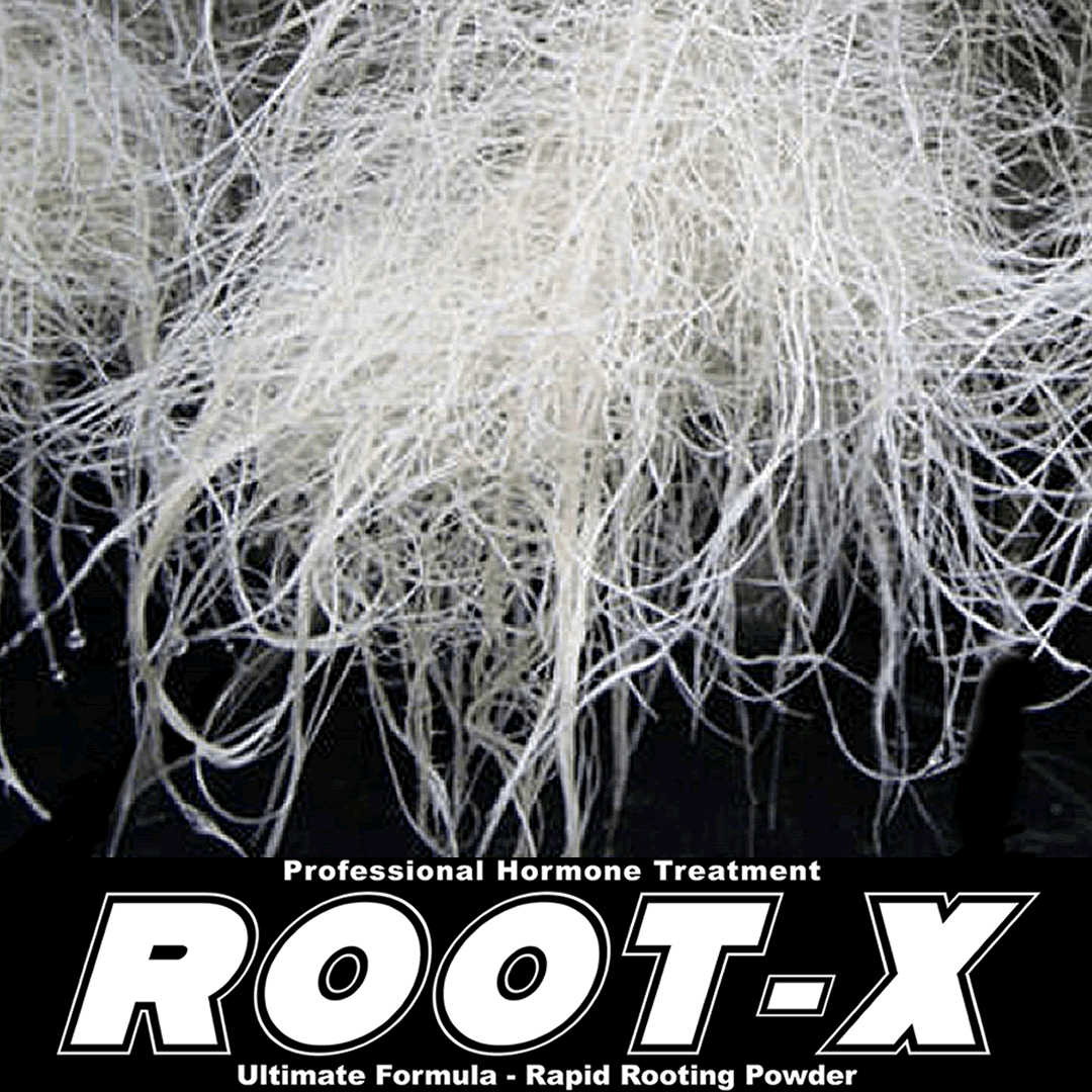 Root-X Rooting Powder