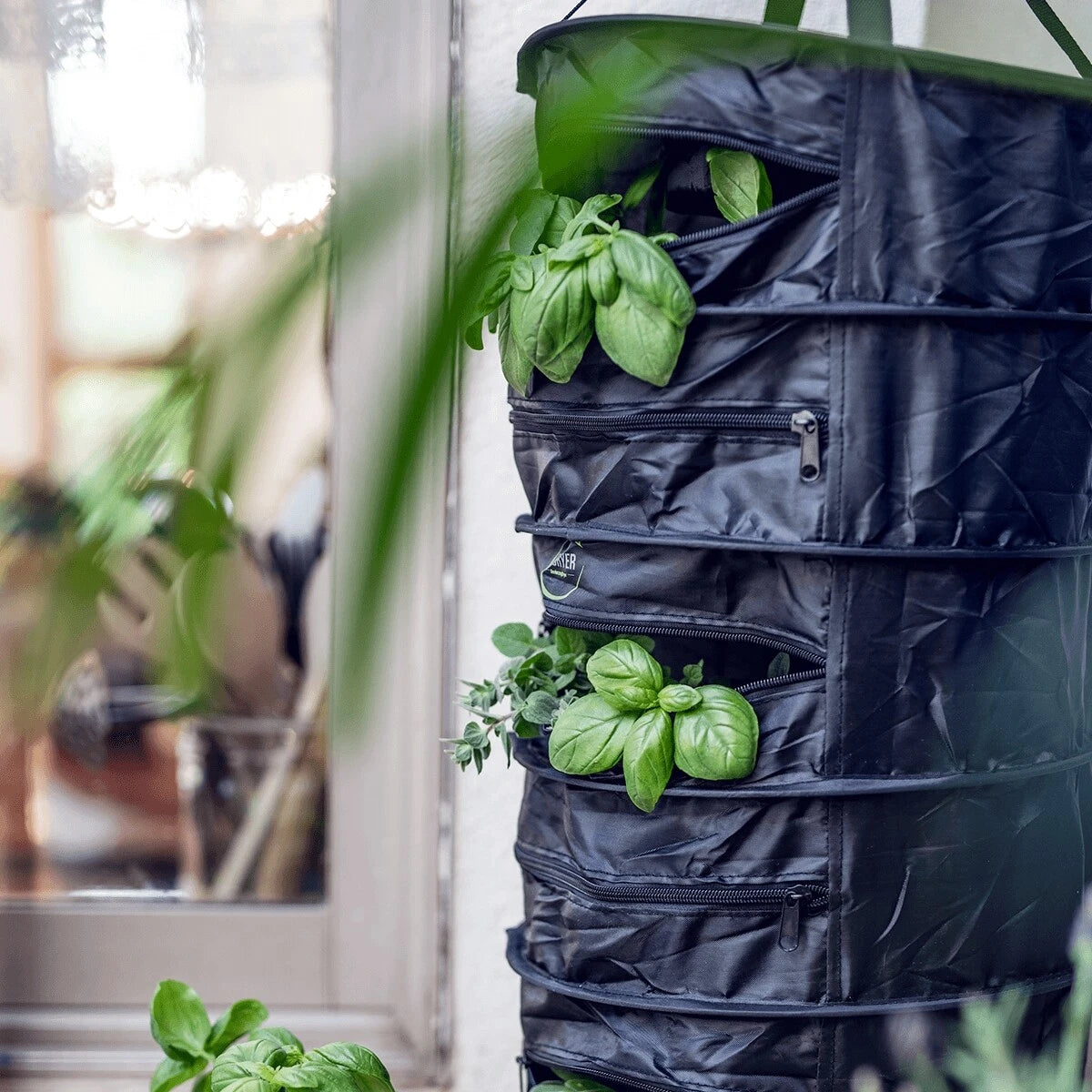 WeDryer (Herb Dryer)