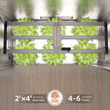 Spider Farmer G4500 320W LED grow light indoor gardening system with plants growing on shelves.