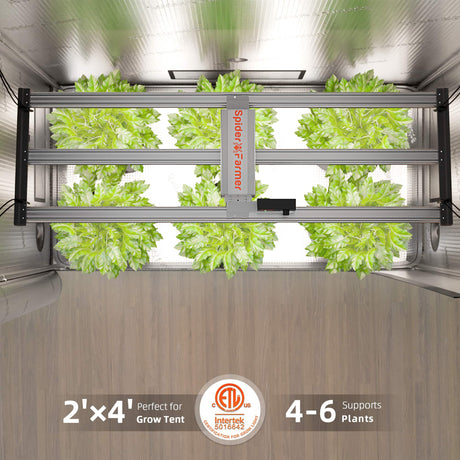 Spider Farmer G4500 320W LED grow light indoor gardening system with plants growing on shelves.