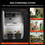 DWC Hydroponic System with text and images of plants in different settings.