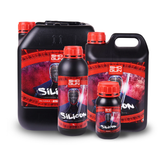 Shogun Silicon