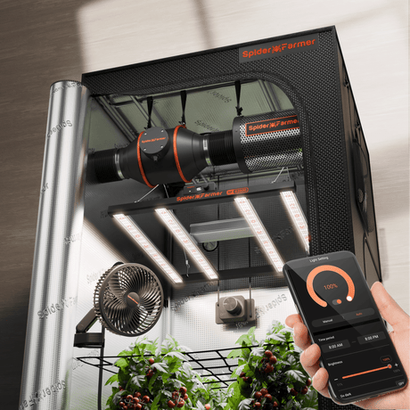 Spider Farmer indoor gardening system with smartphone app control